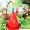Poult Rypet abreuvoir automatique poulets thumb 1