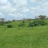 Hectare à vendre à Mboro thumb 9