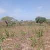 Terrain agricole accessible a vendre thumb 3