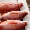 FRUITS DE MER ET POISSONS thumb 7