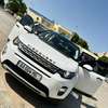 LAND ROVER DISCOVERY 2017 thumb 2