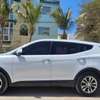 Hyundai santafe thumb 1