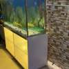 Superbe Aquarium de 280 Litres thumb 5