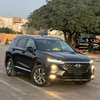 2020 Hyundai SANTFE 2019 thumb 9