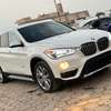 BMW x1 2017 clean thumb 0