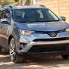 TOYOTA RAV4 XLE AWD 2018 thumb 1