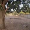 TERRAIN A VENDRE A NGUERIGNE thumb 4