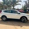 Toyota Rav 4 tropicalisé thumb 2