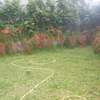 villa louer mermoz thumb 1