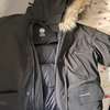 Canada goose thumb 1