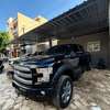 FORD F150 2017 thumb 2