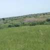Terrains agricoles de plus de 50 hectares à vendre thumb 0