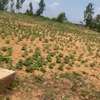 Lot de terrain TF à vendre par moratoire à TIVAOUNE PEULH thumb 2