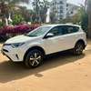 Toyota Rav 4 tropicalisé thumb 3