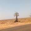 Bambilor 90 hectares de terrain en titre foncier individuel thumb 6