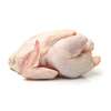 Poulet de chair disponible thumb 1