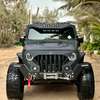 Jeep wrangler rubicon thumb 2