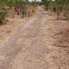 Parcelle de 18 hectares à vendre thumb 7