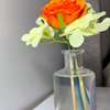Appartement meublé - Stylish & Pleasant Top Floor Apartment thumb 12