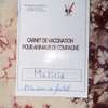 chienne berger allemand pure sang thumb 3