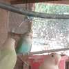 Perroquets jeunes adultes bleu vert rose sociables thumb 0
