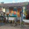 Campement Chez Campos thumb 1