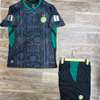 Maillot club et national thumb 0