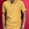 Polos Grandes Marques thumb 5