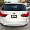BMW x5  2016 thumb 0