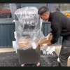 MACHINE À GLACE ITALIENNE (neuf) thumb 3