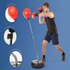 Punching-ball, pour adultes et adolescents thumb 11
