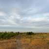 Parcelle de 18 hectares à vendre thumb 9