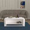 TABLE BASSE B101 thumb 0