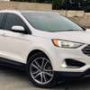 FORD EDGE TITANIUM 2019 thumb 1