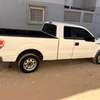 ford F150 thumb 7