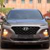 Hyundai Santafe 2019/20 thumb 0