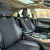 Lexus NX300h 2020 thumb 9