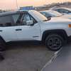 Jeep Renegade 2017 thumb 2
