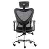 Fauteuil ergonomique thumb 4