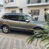 Hyundai santa fe thumb 3