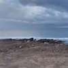 Terrain 5000m2 aux Almadies thumb 1