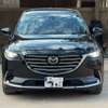 Mazda cx9 signature thumb 0