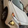 Hyundai Sante Fe 2019 thumb 1