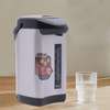 Thermos bouilloire électrique 4.8 L thumb 3