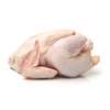 Poulets de chair thumb 1