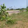 Terrain a vendre sur la VDN 3 thumb 1