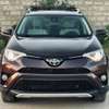 TOYOTA RAV 4 LIMITED 2017 thumb 0