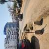 1500m2 à vendre ngor almadies thumb 2