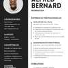 Cv pro+ page Facebook professionnelle + Logo personnalisé thumb 0