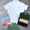 Polo Ralph Lauren homme thumb 6